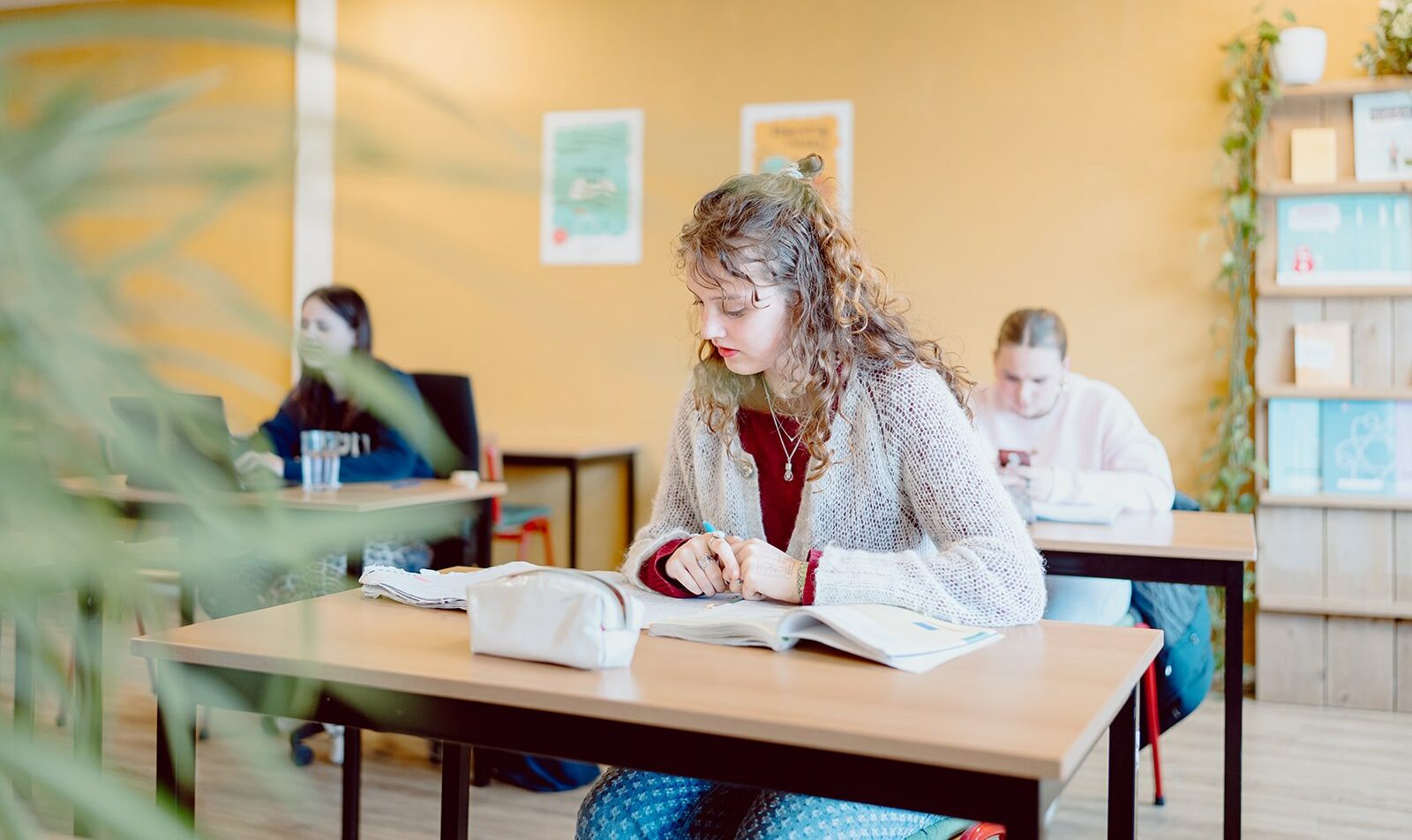 Afbeelding van Optimale voorbereiding op de toetsweek